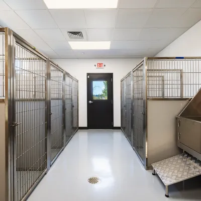 Lockwood Veterinarian Clinic Kennel