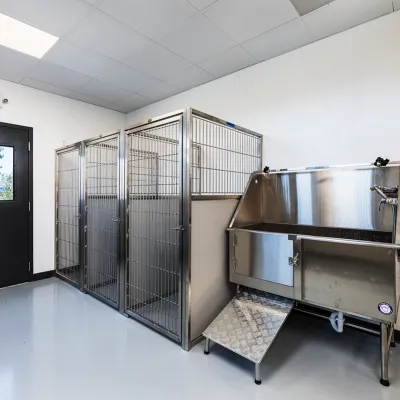 Lockwood Veterinarian Clinic Kennels 2