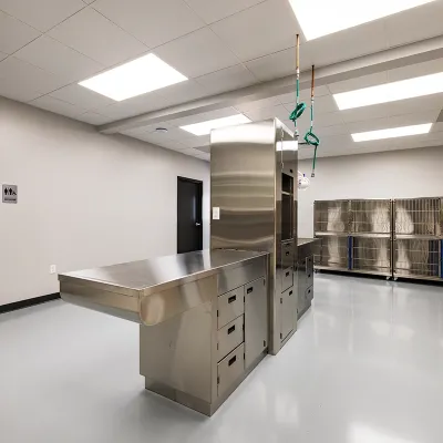 Lockwood Veterinarian Clinic Lab3