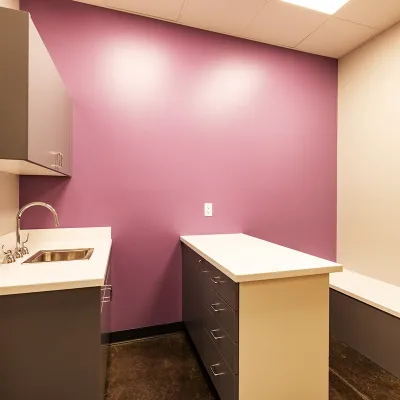 Lockwood Veterinarian Clinic Room1